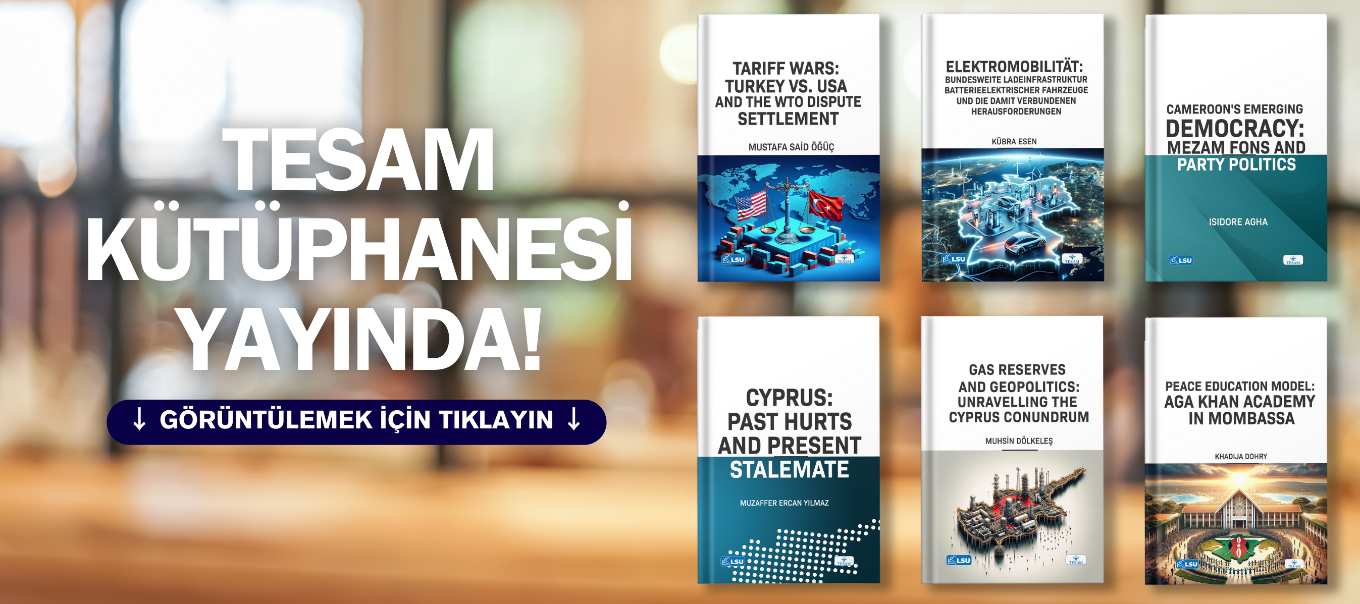 TESAM Yayınları kütüphanesi yayında